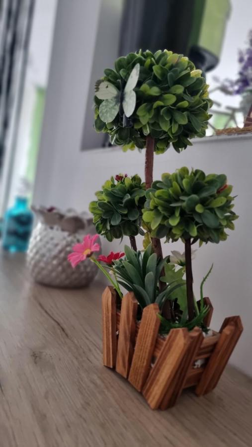 Apartament Daria 那沃达利 外观 照片